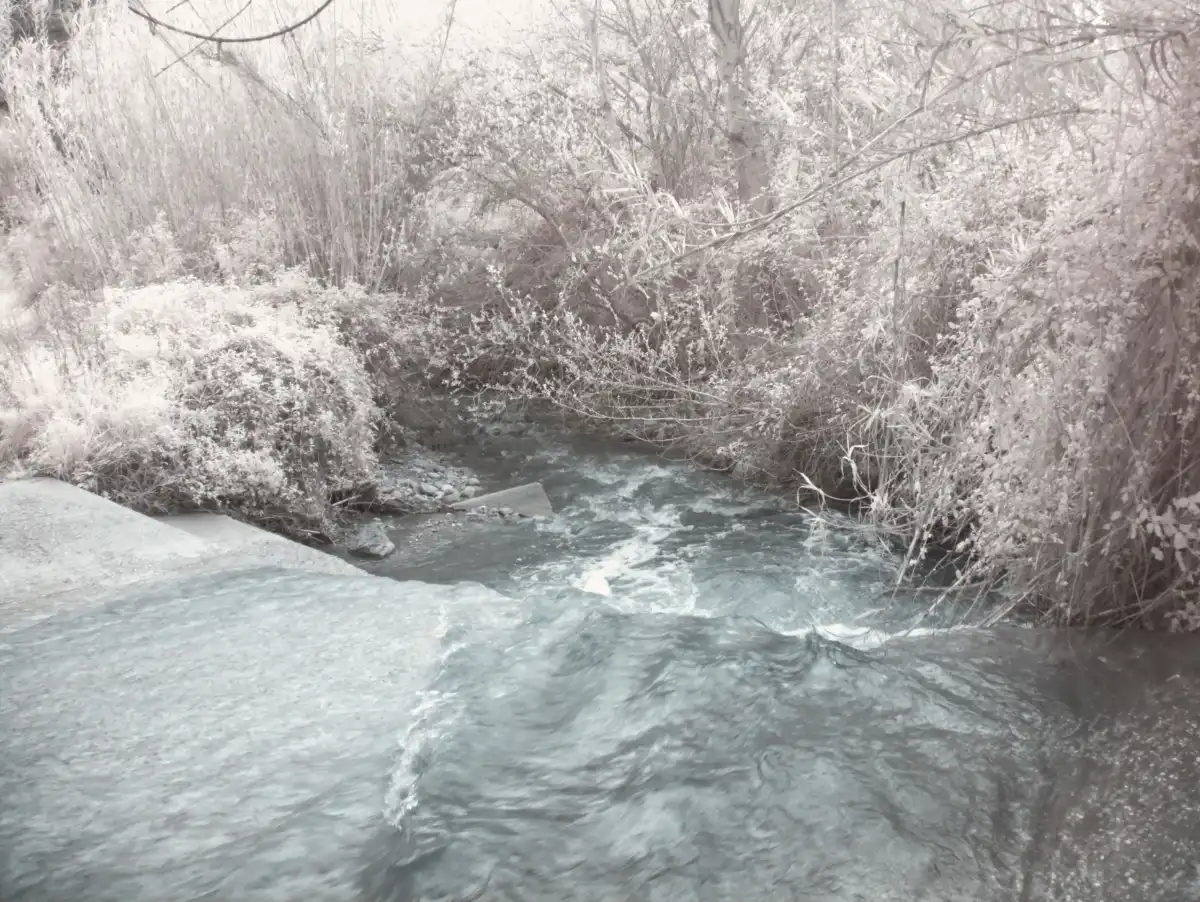 Curso revelado y edicion fotografia digital Mar Martin Suche X