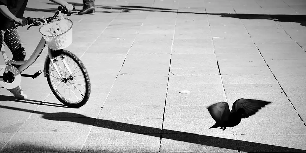 Curso-Inciacion-fotografia-La-Ampliadora-Presentacion-Espejo-home