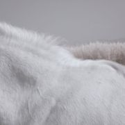 Mar-Martin—Suche-(X)