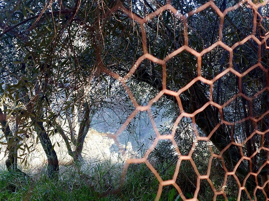 Puertas al campo de Camino